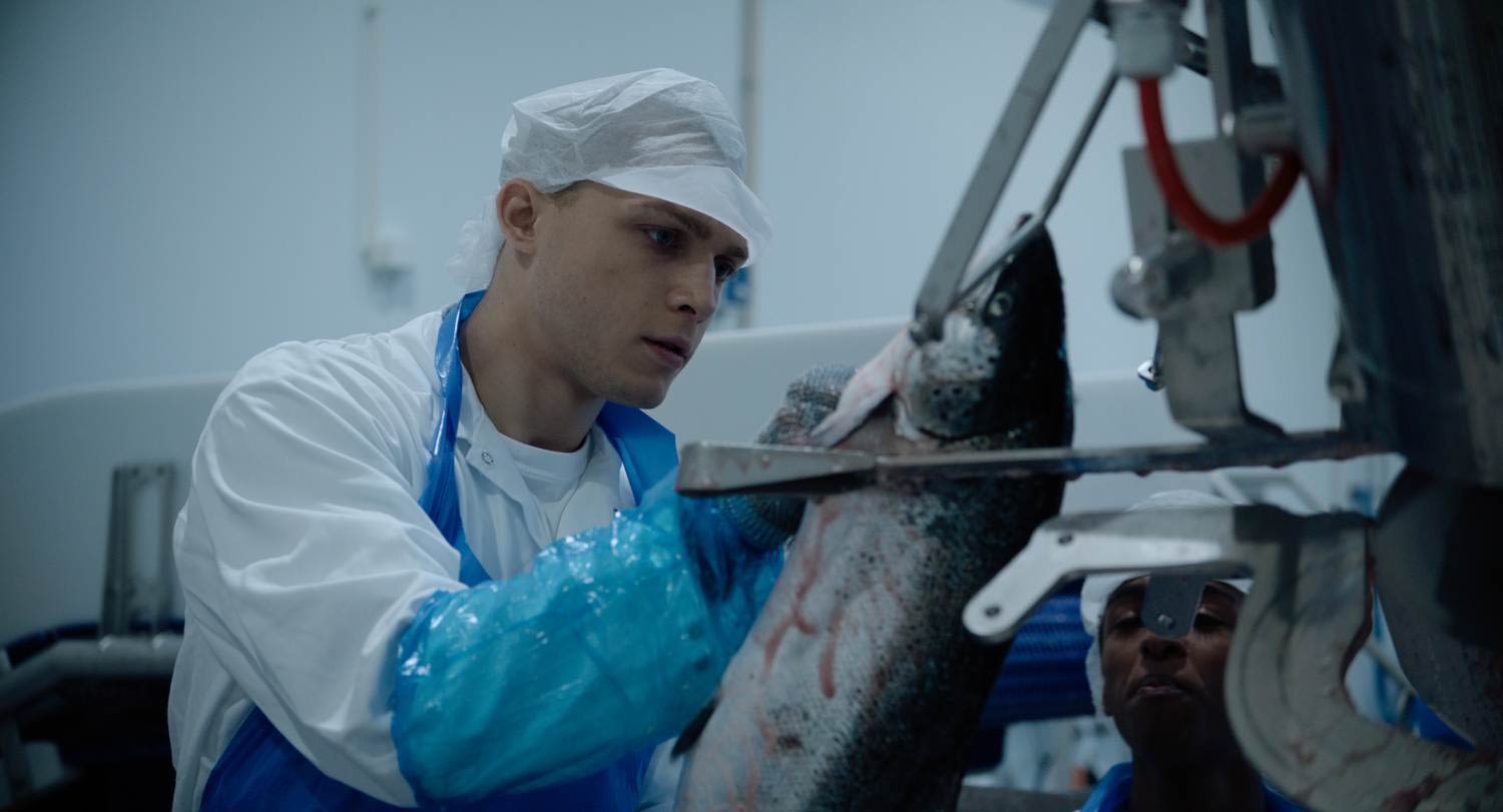 Bilde av en gutt som sløyer fisk. 