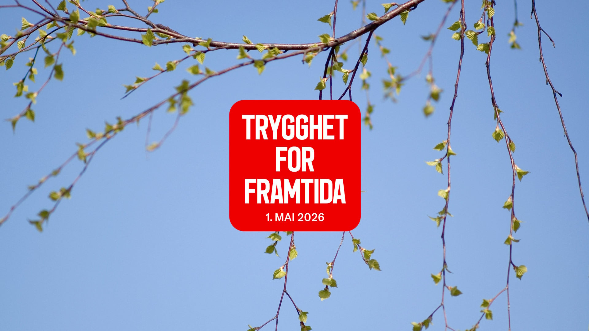 1. mai merke med teksten "trygghet for framtida" på bakgrunn med blå himmel og bjørketre. Illustrasjon.