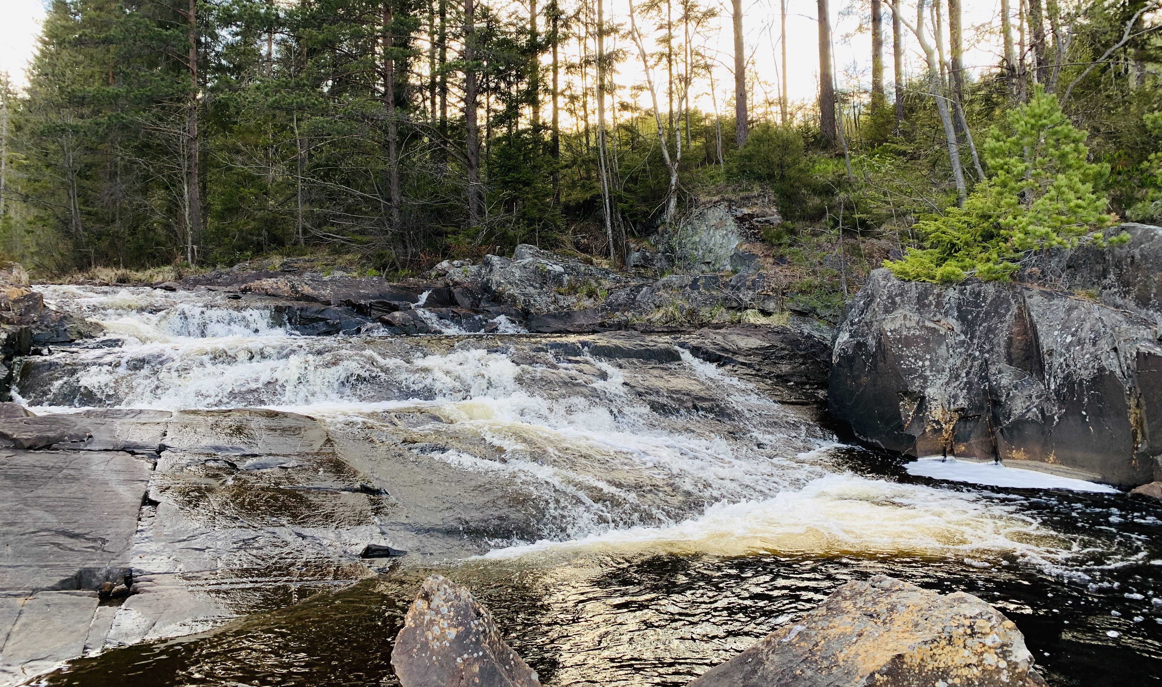En liten foss i skogen.