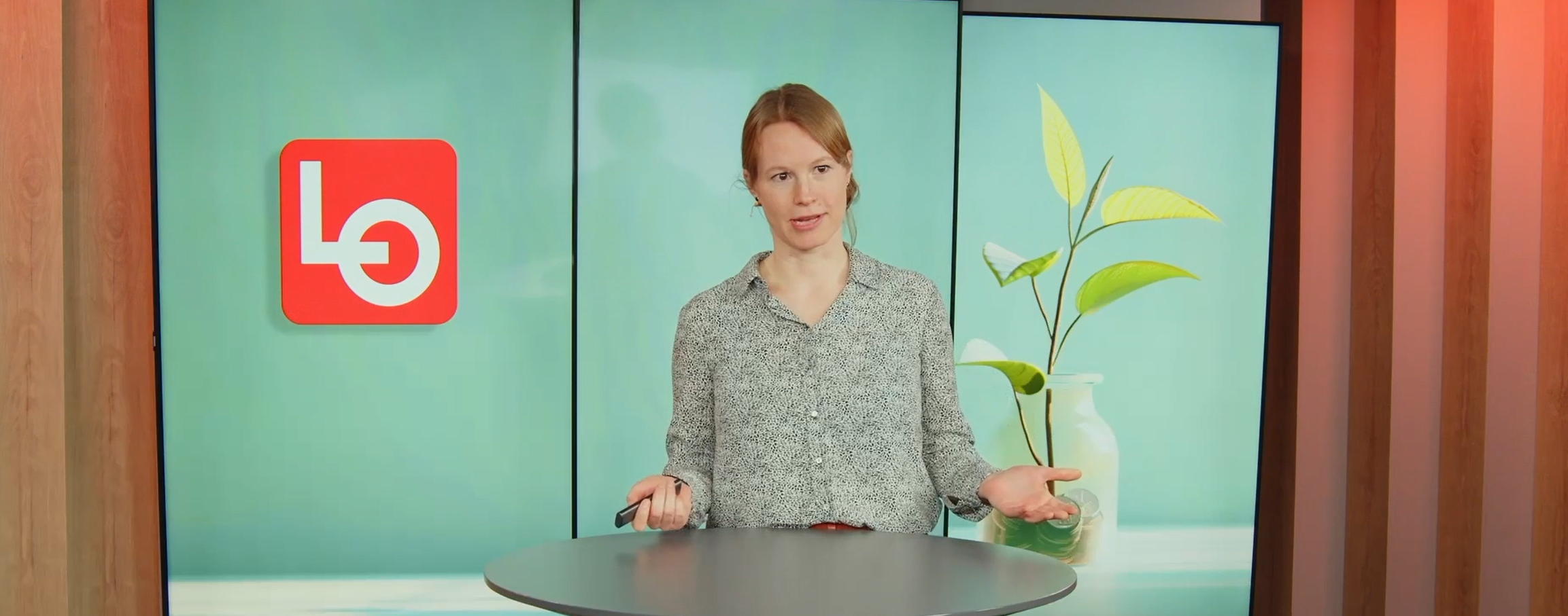 Ebba Boye forklarer pensjonsforliket 