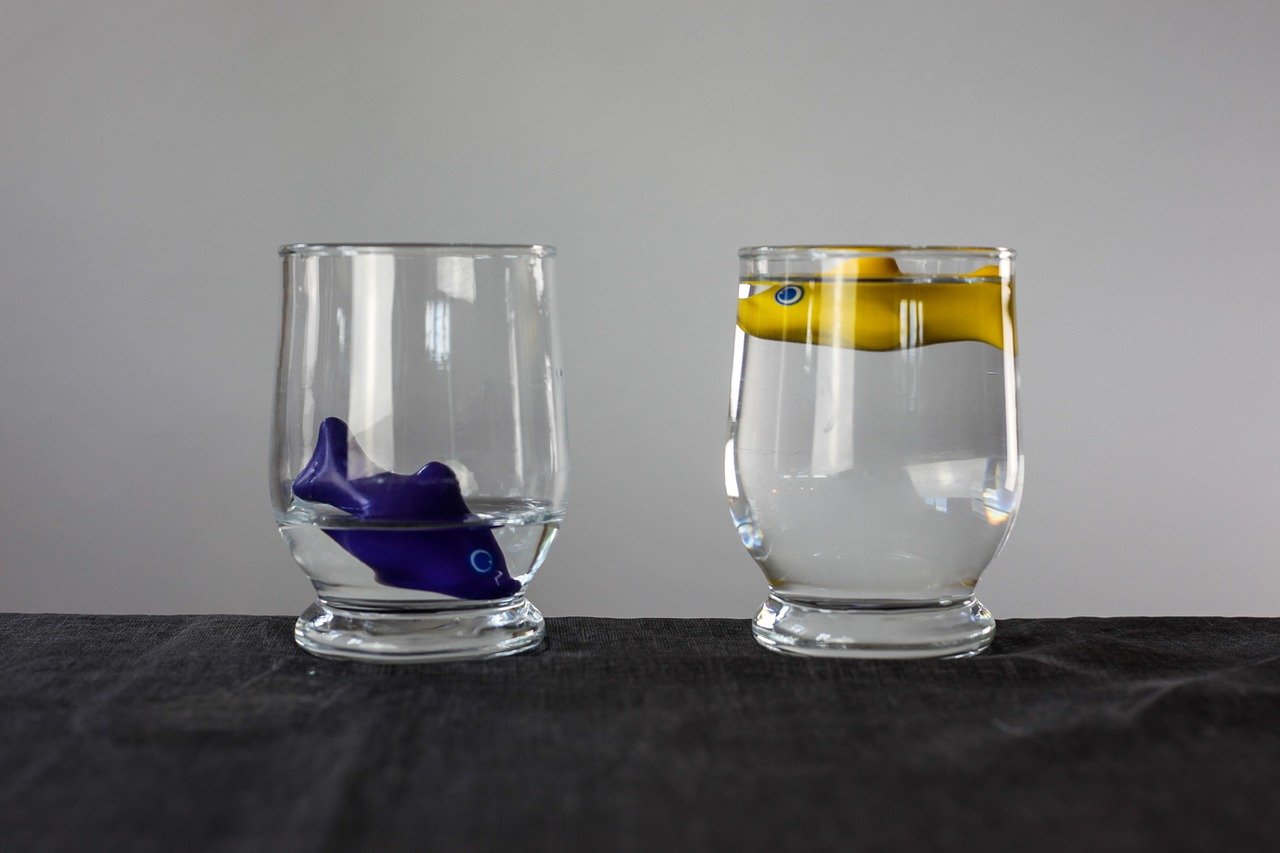 To fisker i hver sitt glass, der den ene synker til bunn mens den andre flyter opp. Illustrasjon