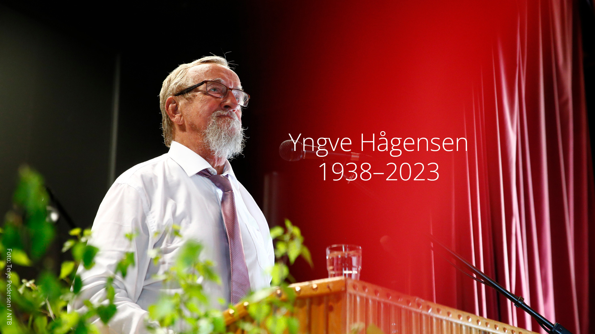 Bilde av Yngve Hågensen