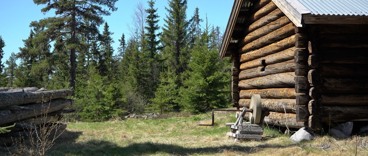 Slipestein foran gammel tømmerløe 