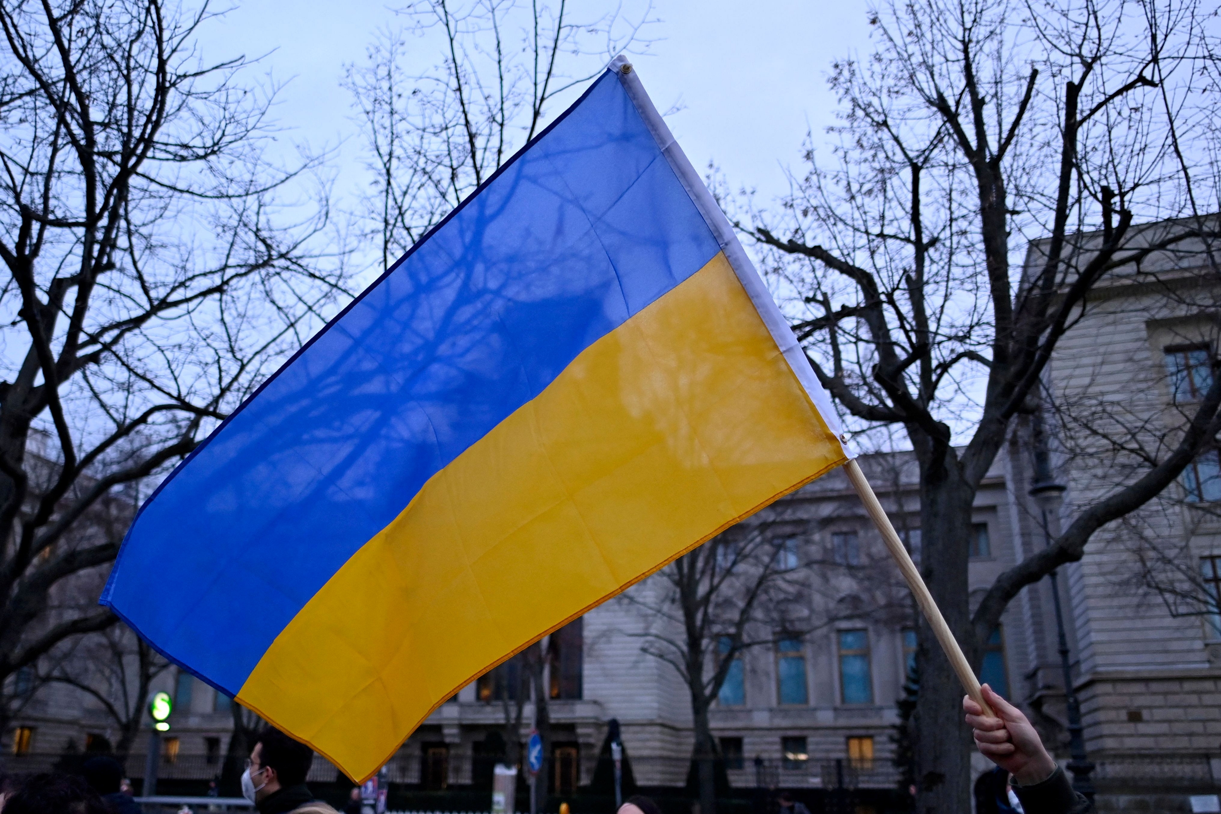 Ukraine flag